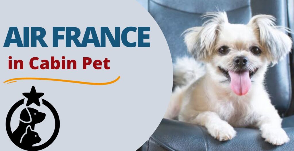 AirlinesPolicies-air france in cabin pet policy