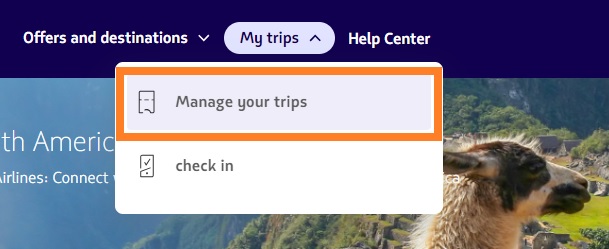 Image of Latam Manage your trips